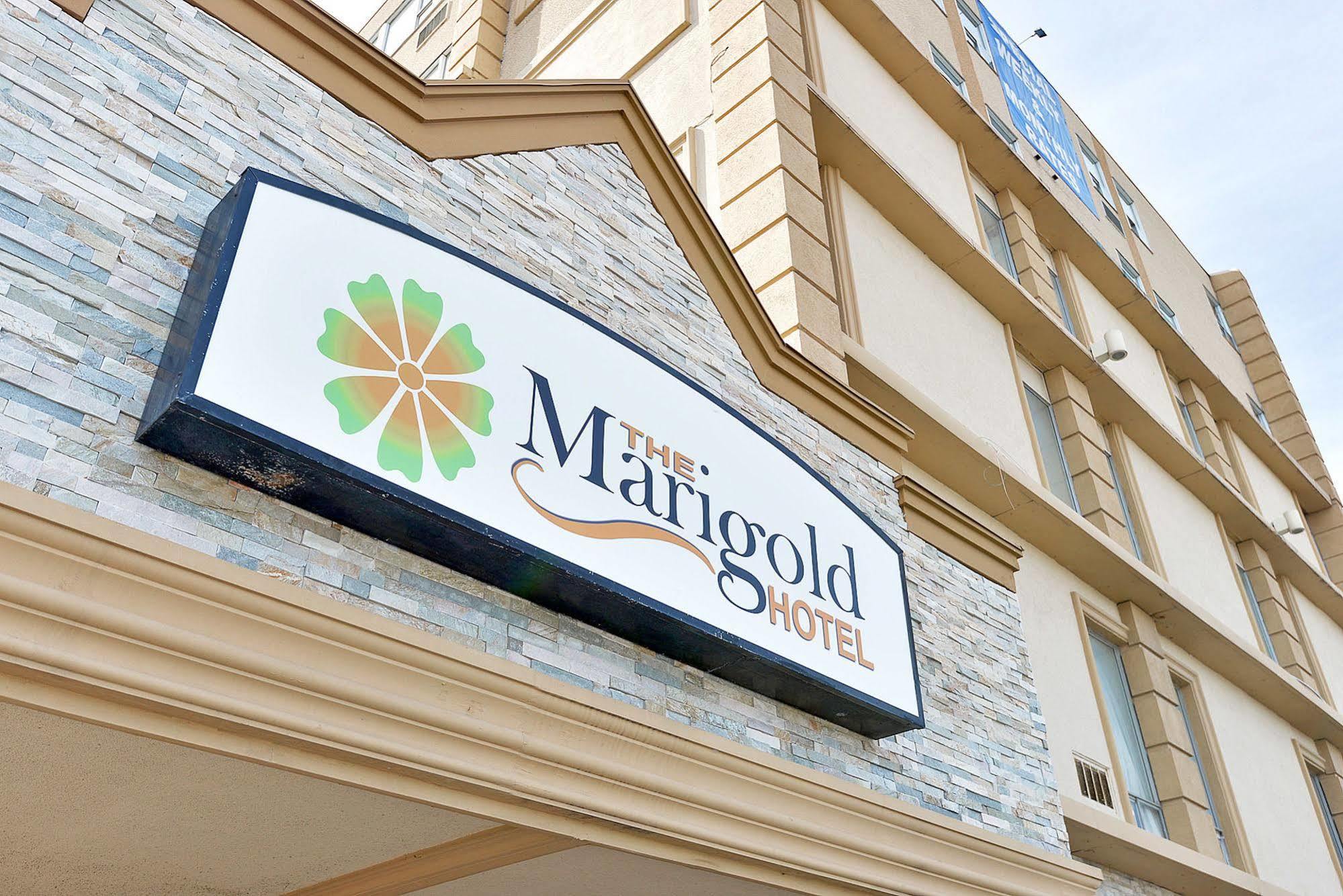 The Marigold Hotel Brampton Exterior foto